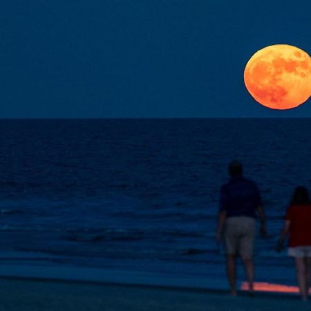 Million Dollar Oceanfront View Apartment Hilton Head Island Bagian luar foto