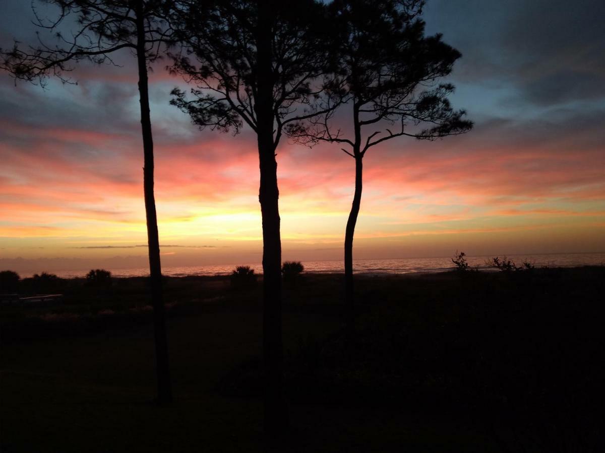 Million Dollar Oceanfront View Apartment Hilton Head Island Bagian luar foto